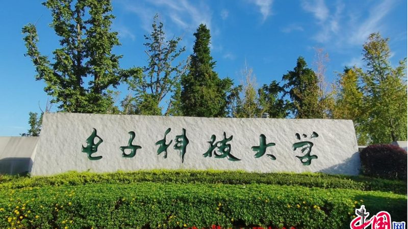 C1815代换解析：常见型号与选型逻辑**