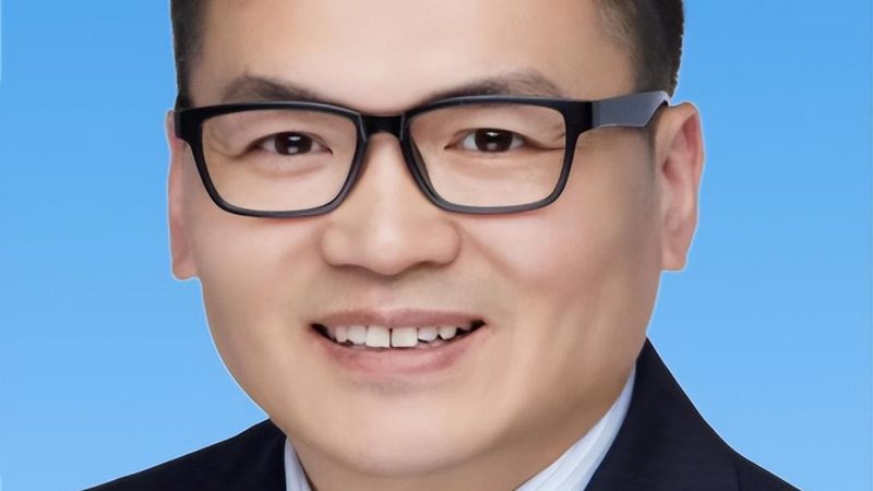 深圳芯片原厂与代理：揭秘背后的区别与选择要点